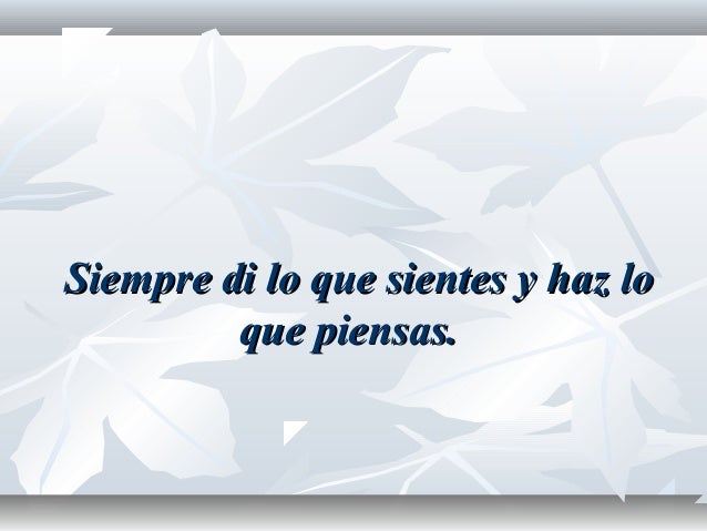 Ultima Carta De Garcia Marquez A Sus Amigos House MY a