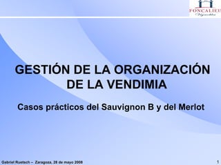 GESTIÓN DE LA ORGANIZACIÓN
             DE LA VENDIMIA
        Casos prácticos del Sauvignon B y del Merlot




Gabriel Ruetsch – Zaragoza, 28 de mayo 2008            1