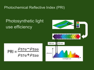 530 nm 570 nm
Photochemical Reflective Index (PRI)
Photosynthetic light
use efficiency
 