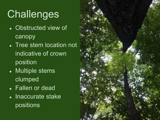 ● Obstructed view of
canopy
● Tree stem location not
indicative of crown
position
● Multiple stems
clumped
● Fallen or dead
● Inaccurate stake
positions
Challenges
 