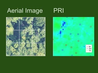 Aerial Image PRI
 