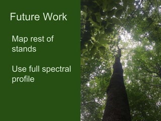Map rest of
stands
Use full spectral
profile
Future Work
 