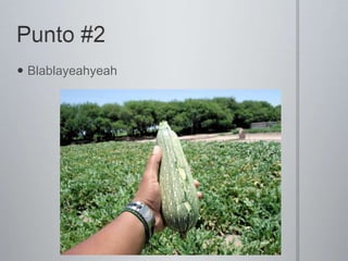 Punto #2Blablayeahyeah