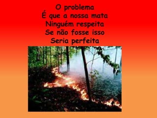 O problema 
É que a nossa mata 
Ninguém respeita 
Se não fosse isso 
Seria perfeita 
