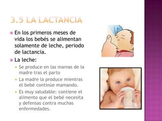  En los primeros meses de
  vida los bebés se alimentan
  solamente de leche, periodo
  de lactancia.
 La leche:
     Se produce en las mamas de la
      madre tras el parto
     La madre la produce mientras
      el bebé continúe mamando.
     Es muy saludable: contiene el
      alimento que el bebé necesita
      y defensas contra muchas
      enfermedades.
 