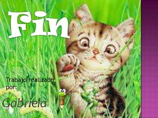 Trabajo realizado
por:
 