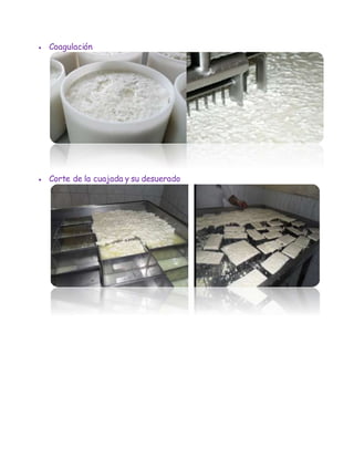  Coagulación
 Corte de la cuajada y su desuerado
 