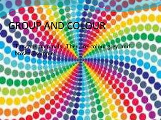 GROUP AND COLOUR 
They are mammals . They are colour grey and 
brown.Example: 
 