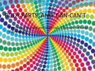 BODY PARTS AND CAN-CAN’T 
They’ve got big ears and small tail . They can walk and 
they can’t fly . Example: 
 