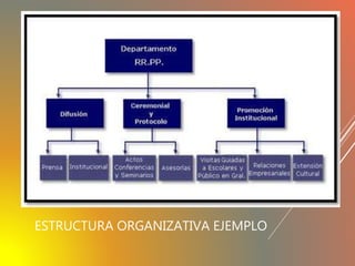 ESTRUCTURA ORGANIZATIVA EJEMPLO
 