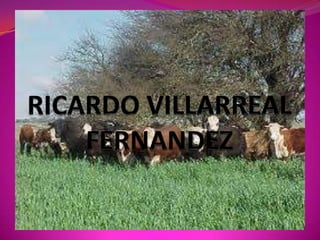 RICARDO VILLARREAL FERNANDEZ 