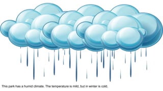 This park has a humid climate. The temperature is mild, but in winter is cold.
 