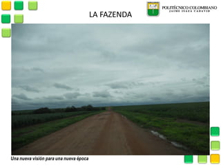 LA FAZENDA  
