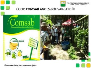 COOP. COMSAB ANDES-BOLIVAR-JARDÍN  