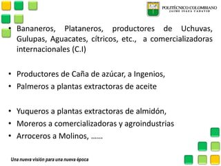 •Bananeros, Plataneros, productores de Uchuvas, Gulupas, Aguacates, cítricos, etc., a comercializadoras internacionales (C.I) 
•Productores de Caña de azúcar, a Ingenios, 
•Palmeros a plantas extractoras de aceite 
•Yuqueros a plantas extractoras de almidón, 
•Moreros a comercializadoras y agroindustrias 
•Arroceros a Molinos, ……  
