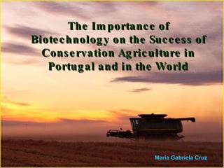 The Importance of Biotechnology on the Success of Conservation Agriculture in Portugal and in the World Maria Gabriela Cruz   