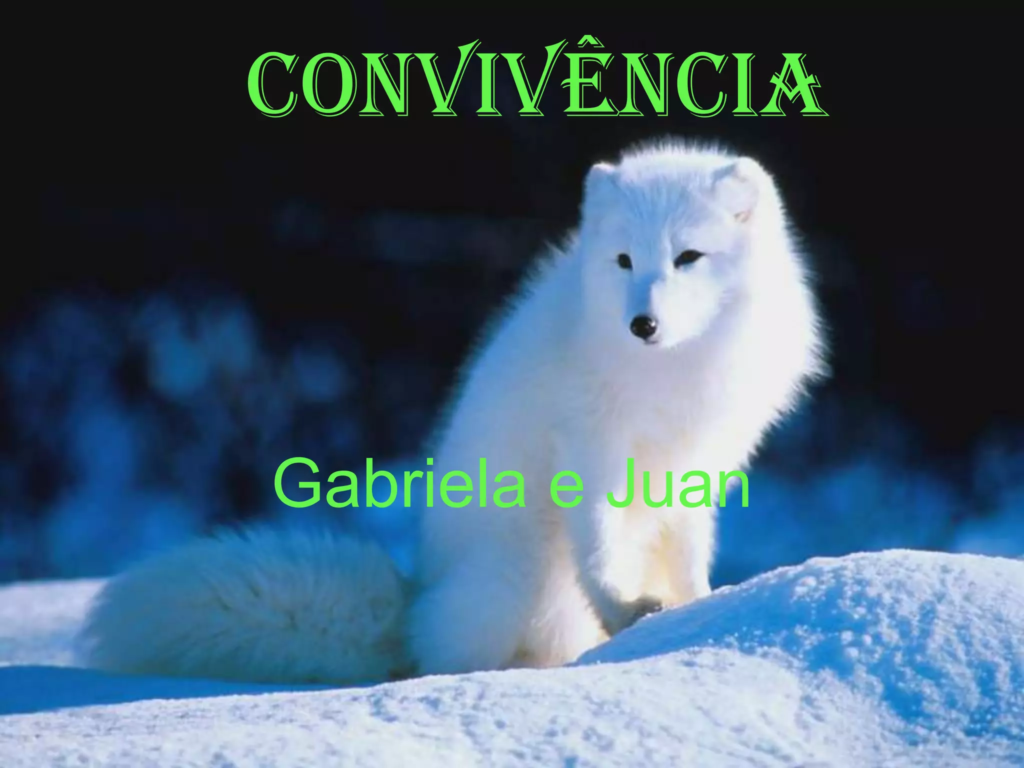 Convivência
Gabriela e Juan