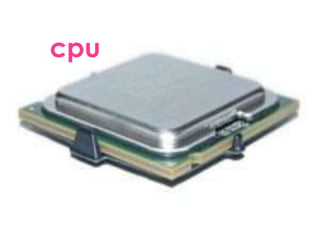 cpu
 