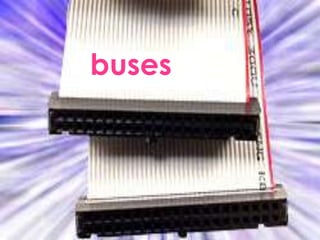 buses
 