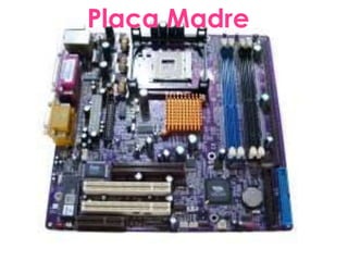 Placa Madre
 