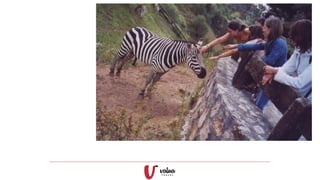 Gabriela mistral cantàbria v2