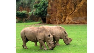 Gabriela mistral cantàbria v2