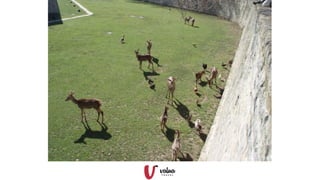 Gabriela mistral cantàbria v2