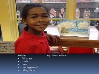 Habitat            my habitat and me
• fish to eat
• shade
• mate
• hunting ground
• hiding places
 