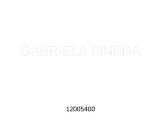GABRIELA PINEDA



     12005400
 