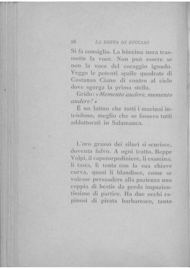 Direttore di lentiggine di giardino