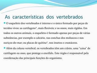 As características dos vertebrados
O esqueleto dos vertebrados é interno e o único formado por peças de

tecidos vivos: as cartilagens*, mais flexíveis; e os ossos, mais rígidos. Em
todos os outros animais, o esqueleto é formado apenas por peças de várias
substâncias, por exemplo o calcário, nas conchas dos moluscos e nos
ouriços-do-mar; ou placas de quitina*, nos insetos e crustáceos.
Além da coluna vertebral, os vertebrados têm um crânio, uma "caixa" de

cartilagem ou osso, que protege o encéfalo. Este órgão é responsável pela
coordenação das principais funções do organismo.
 