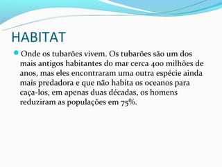 HABITAT
Onde os tubarões vivem. Os tubarões são um dos
 mais antigos habitantes do mar cerca 400 milhões de
 anos, mas eles encontraram uma outra espécie ainda
 mais predadora e que não habita os oceanos para
 caça-los, em apenas duas décadas, os homens
 reduziram as populações em 75%.
 