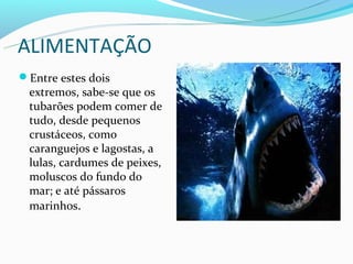 ALIMENTAÇÃO
Entre estes dois
 extremos, sabe-se que os
 tubarões podem comer de
 tudo, desde pequenos
 crustáceos, como
 caranguejos e lagostas, a
 lulas, cardumes de peixes,
 moluscos do fundo do
 mar; e até pássaros
 marinhos.
 