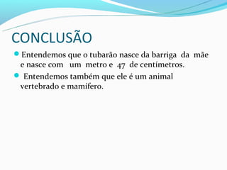 CONCLUSÃO
Entendemos que o tubarão nasce da barriga da mãe
 e nasce com um metro e 47 de centímetros.
 Entendemos também que ele é um animal
 vertebrado e mamífero.
 