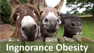 Ingnorance Obesity
 