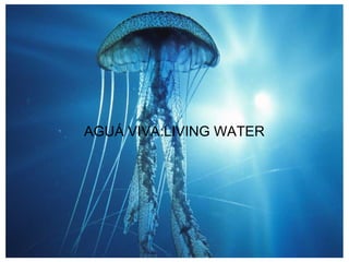 AGUÁ VIVA:LIVING WATER
 