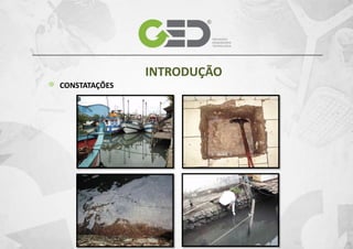 INTRODUÇÃO
CONSTATAÇÕES

 