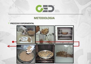 METODOLOGIA
PROCESSO EXPERIMENTAL

 