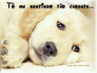 Trabalho de encerramento da Oficina Mídias Sociais