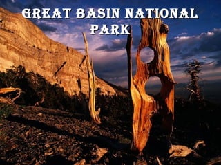 great basin nationalgreat basin national
parkpark
 