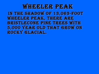 Wheeler PeakWheeler Peak
IN the shadoW of 13,063-footIN the shadoW of 13,063-foot
Wheeler Peak, there areWheeler Peak, there are
brIstlecoNe PINe trees WIthbrIstlecoNe PINe trees WIth
5,000 year old that groW oN5,000 year old that groW oN
rocky glacIal.rocky glacIal.
 