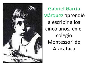 Gabriel García
Márquez aprendió
 a escribir a los
cinco años, en el
     colegio
 Montessori de
   Aracataca
 
