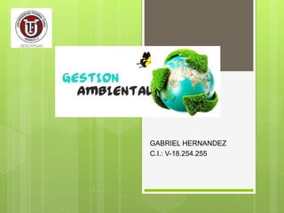 GABRIEL HERNANDEZ
C.I.: V-18.254.255
 