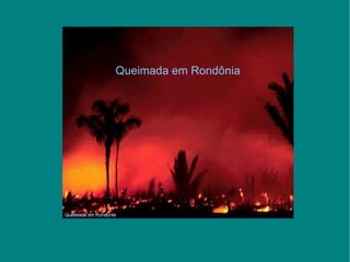 Queimada em Rondônia 