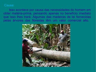 Causa:  Isso acontece por causa das necessidades do homem em obter matéria-prima, pensando apenas no benefício imediato que isso lhes trará. Algumas das madeiras de lei fornecidas pelas árvores das florestas têm um valor comercial alto.    