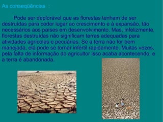 As conseqüências  :   Pode ser deplorável que as florestas tenham de ser destruídas para ceder lugar ao crescimento e à expansão, tão necessários aos países em desenvolvimento. Mas, infelizmente, florestas destruídas não significam terras adequadas para atividades agrícolas e pecuárias. Se a terra não for bem manejada, ela pode se tornar infértil rapidamente. Muitas vezes, pela falta de informação do agricultor isso acaba acontecendo, e a terra é abandonada. 