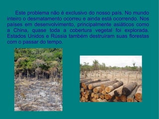 Este problema não é exclusivo do nosso país. No mundo inteiro o desmatamento ocorreu e ainda está ocorrendo. Nos países em desenvolvimento, principalmente asiáticos como a  China , quase toda a cobertura  vegetal  foi explorada. Estados Unidos e Rússia também destruíram suas florestas com o passar do tempo. 