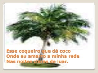 Esse coqueiro que dá coco
Onde eu amarro a minha rede
Nas noites claras de luar.

 