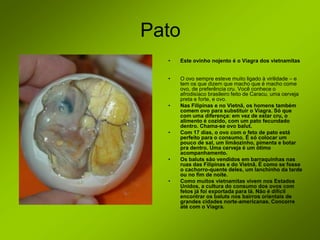Pato
  •   Este ovinho nojento é o Viagra dos vietnamitas


  •   O ovo sempre esteve muito ligado à virilidade – e
      tem os que dizem que macho que é macho come
      ovo, de preferência cru. Você conhece o
      afrodisíaco brasileiro feito de Caracu, uma cerveja
      preta e forte, e ovo.
  •   Nas Filipinas e no Vietnã, os homens também
      comem ovo para substituir o Viagra. Só que
      com uma diferença: em vez de estar cru, o
      alimento é cozido, com um pato fecundado
      dentro. Chama-se ovo balut.
  •   Com 17 dias, o ovo com o feto de pato está
      perfeito para o consumo. É só colocar um
      pouco de sal, um limãozinho, pimenta e botar
      pra dentro. Uma cerveja é um ótimo
      acompanhamento.
  •   Os baluts são vendidos em barraquinhas nas
      ruas das Filipinas e do Vietnã. É como se fosse
      o cachorro-quente deles, um lanchinho da tarde
      ou no fim de noite.
  •   Como muitos vietnamitas vivem nos Estados
      Unidos, a cultura do consumo dos ovos com
      fetos já foi exportada para lá. Não é difícil
      encontrar os baluts nos bairros orientais de
      grandes cidades norte-americanas. Concorre
      até com o Viagra.
 