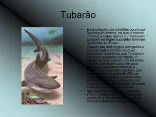 Tubarão
    •   A reprodução dos tubarões ocorre por
        fecundação interna, na qual o macho
        introduz o órgão reprodutor masculino
        (clasper) no órgão copulador feminino
        (oviducto) da fêmea.
    •   Clasper são dois órgãos alongados e
        cônicos com o formato de duas
        pequenas nadadeiras que funcionam
        como um auxiliador na cópula. O
        clasper é muito comum nos tubarões
        machos que fazem uso dele para
        melhorar a aderência durante a
        cópula. Nas espécies ovíparas, que
        correspondem a cerca de 20% do
        total, a fêmea realiza a postura dos
        ovos rectangulares, protegidos por
        uma membrana filamentosa, de modo
        a fixá-los ao substrato marinho.
    •   Nas espécie ovovíparas - cerca de
        70% -, o desenvolvimento dos ovos
        ocorre no oviducto da fêmea, sendo
        as crias expulsas já desenvolvidas.
 